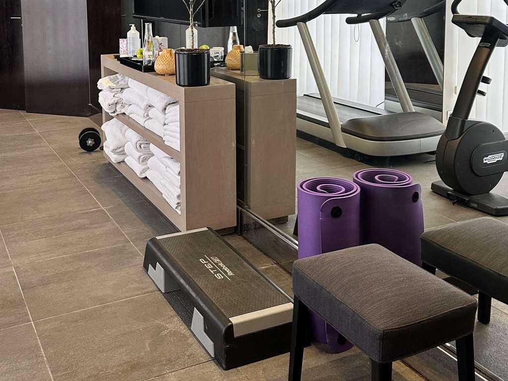 Park Hotel Grenoble - Mgallery Ανέσεις φωτογραφία